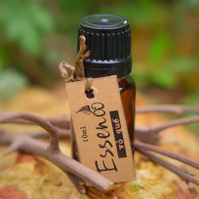 Những công dụng của tinh dầu quế