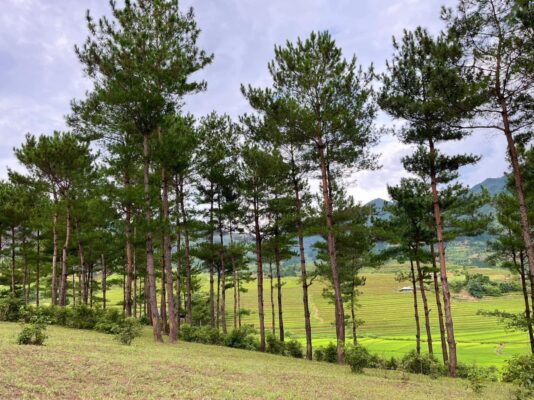 Phải lòng miền đất gió Than Uyên