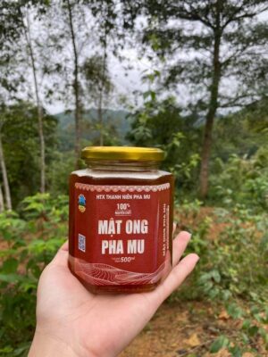 Mật ong Pha Mu đặc sản của Than Uyên