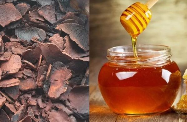 Cách dùng hà thủ ô trị tóc bạc