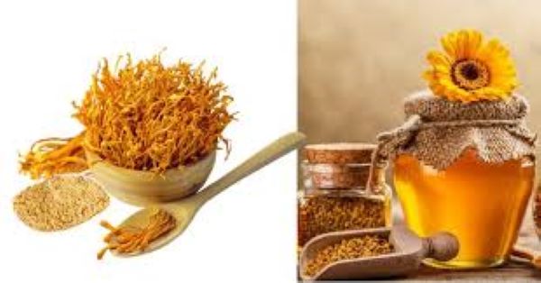 Cách sử dụng đông trùng hạ thảo ngâm mật ong