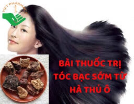 Cách sử dụng hà thủ ô đỏ trị tóc bạc sớm