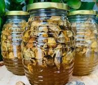 Bài thuốc sử dụng quả kha tử