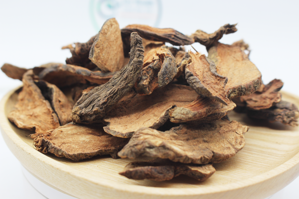 Cây hà thủ ô rừng như thế nào?