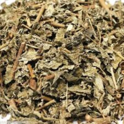 Đặc điểm của chè dây và tác dụng chữa bệnh của nó
