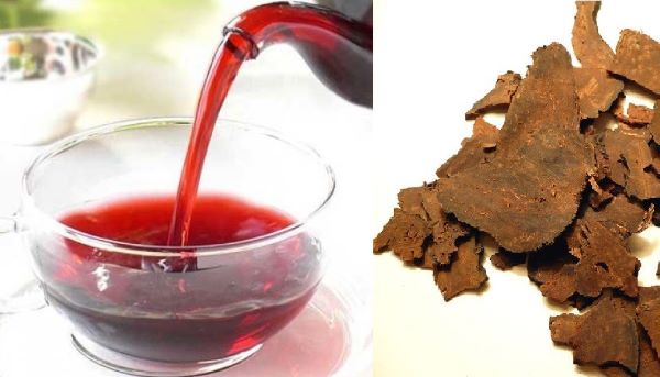 Có nên uống hà thủ ô hàng ngày không?