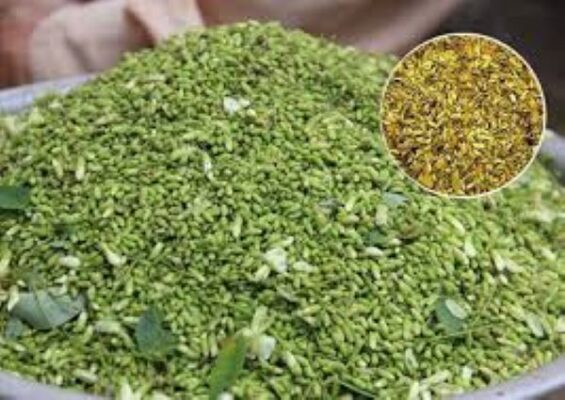 Bài thuốc quý từ trà nụ hoa hòe
