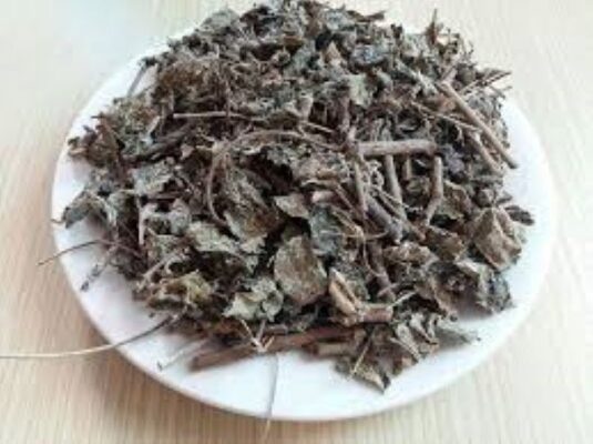 Cách phân biệt chè dây ngon