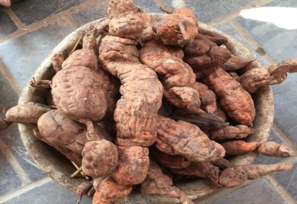 Công dụng của hà thủ ô với làn da