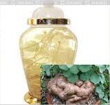 Cách ngâm rượu củ bình vôi