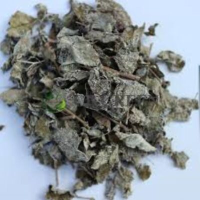 Cách phân biệt chè dây ngon