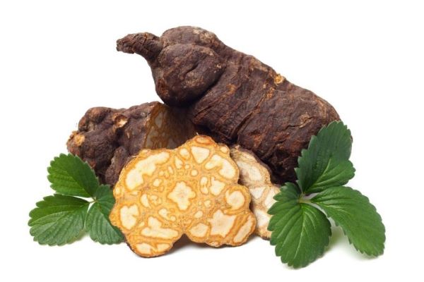 Hà thủ ô trắng có đặc điểm gì?