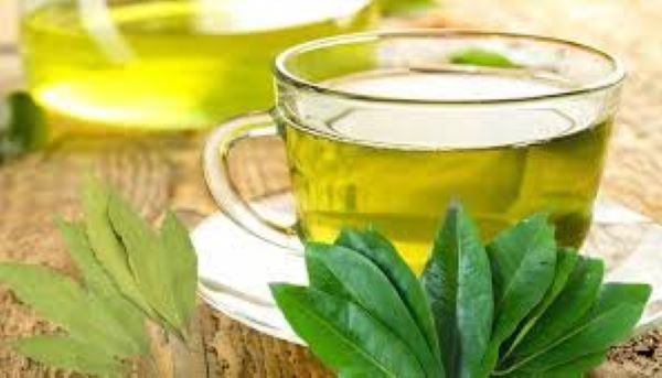 Lưu ý khi uống nước lá vối