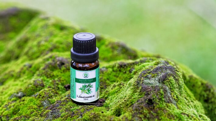 tinh dầu tràm trà