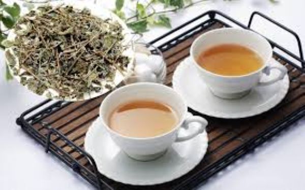 Tác dụng chữa đau dạ dày của chè dây