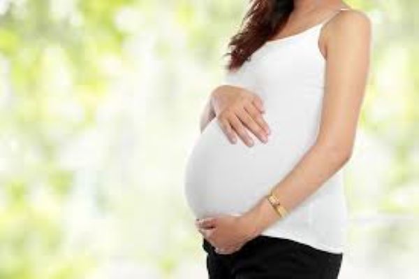 Cây nhọ nồi có tác dụng gì? Cây nhọ nồi có tác dụng gì?