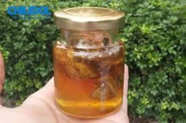 Quả kha tử ngâm mật ong có tác dụng gì?