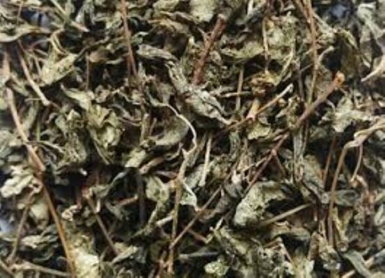 Giá chè dây hiện nay Giá chè dây hiện nay