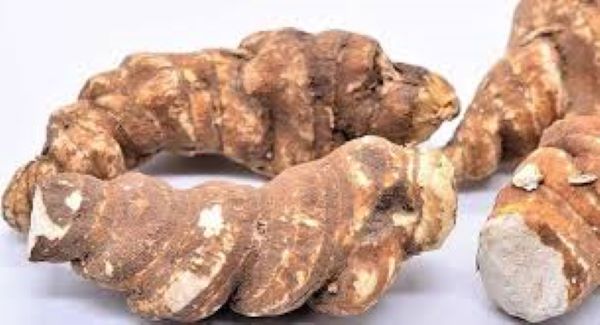 Thất diệp nhất chi hoa ngâm rượu