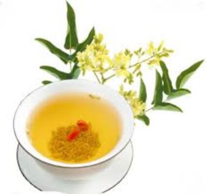 Trà nụ hoa hòe có tác dụng gì?