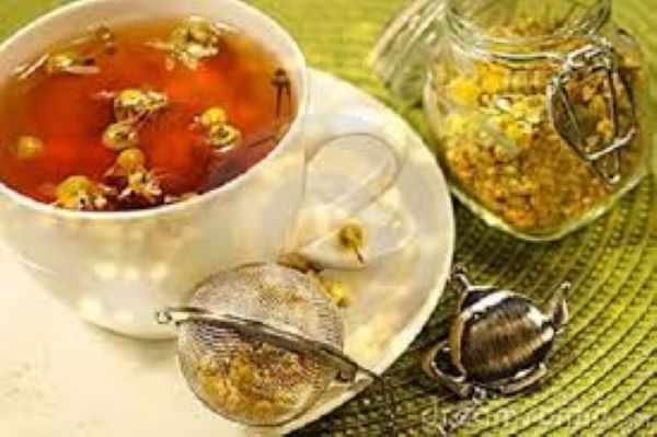Trà nụ hoa hòe có tác dụng gì? Trà nụ hoa hòe có tác dụng gì?