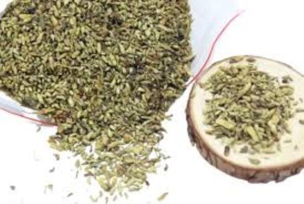 Trà nụ hoa hòe tốt cho sức khỏe như thế nào?