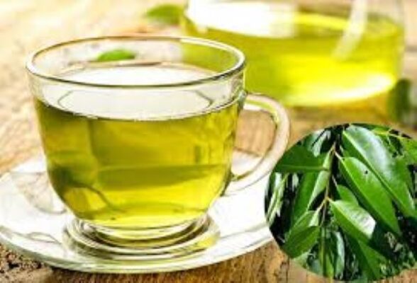 Uống nước lá vối mỗi ngày có tốt không?