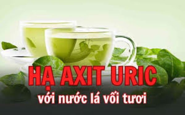 Yếu sinh lí có uống nước lá vối được không?