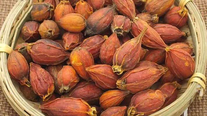 Quả dành dành chữa bệnh gì?