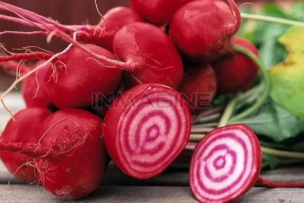 Lợi ích cho sức khỏe của củ cải đường