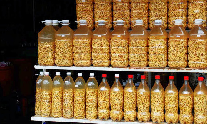 Công dụng của rượu sâu chít Tây Bắc