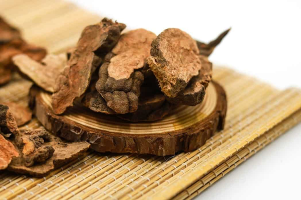 Đường mía hà thủ ô có tác dụng gì?