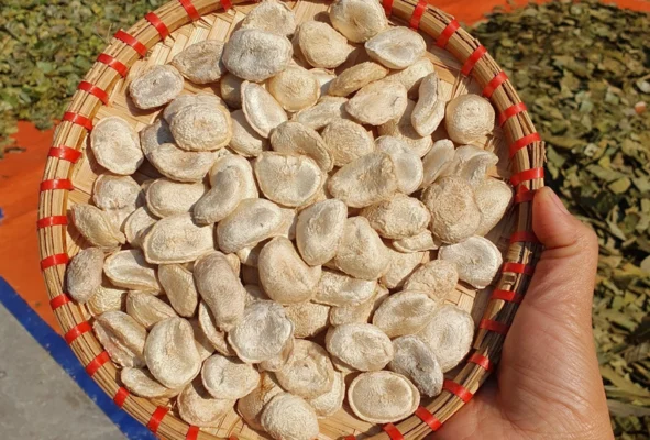 Công dụng của hạt sang với dạ dày và đại tràng