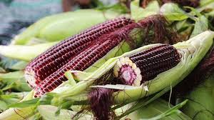 Ngô tím Tây Bắc ngâm rượ