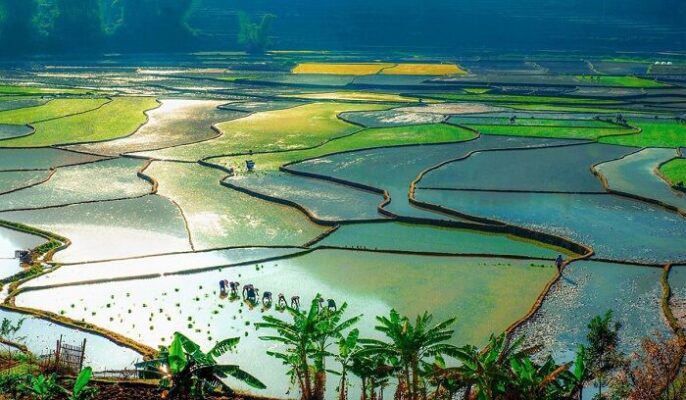 Khám phá thiên nhiên kỳ thú ở vùng cao Than Uyên