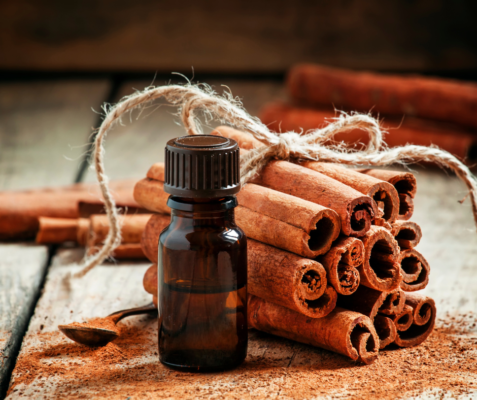 Tinh dầu quế có tác dụng gì?