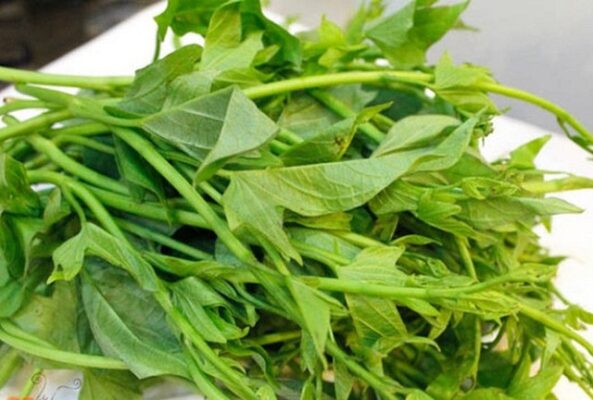 Rau lang và những tác dụng không ngờ