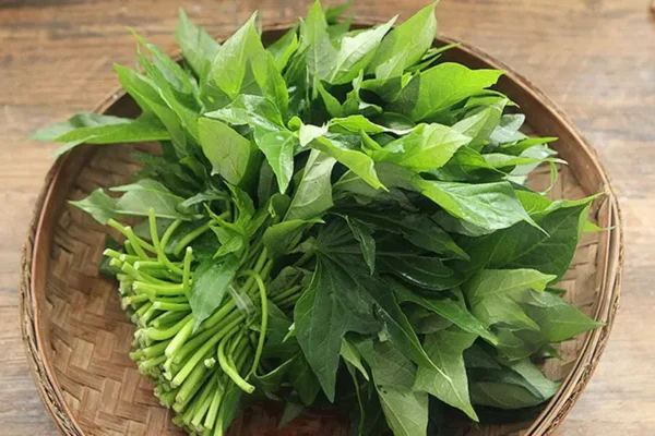 Món ngon từ rau khoai lang có thể chữa bệnh