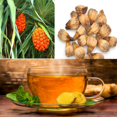 Dứa dại chữa bệnh gì và tác dụng như nào với sức khỏe