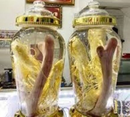 Tác dụng của rượu nhung hươu