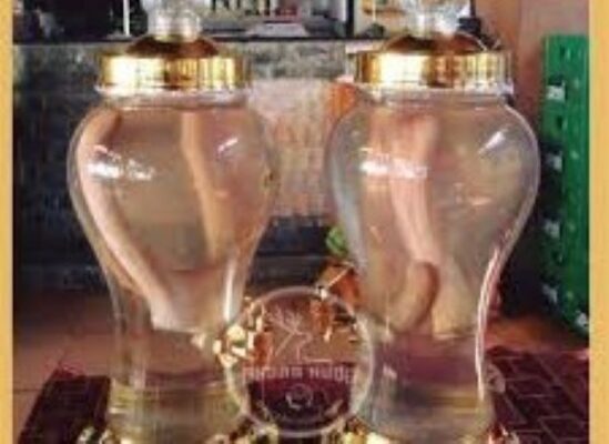 Rượu nhung hươu có tác dụng gì?