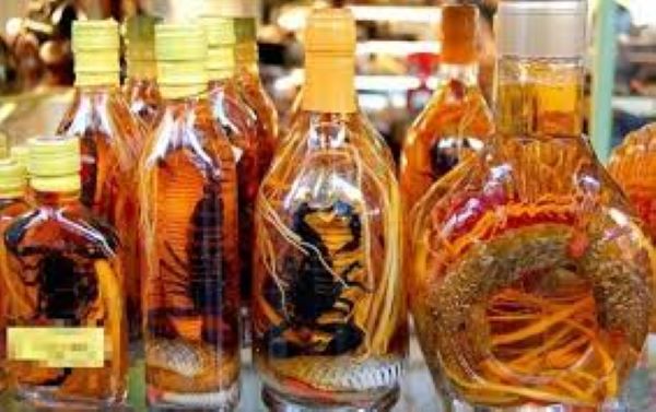 Các loại rượu bổ thận tráng dương