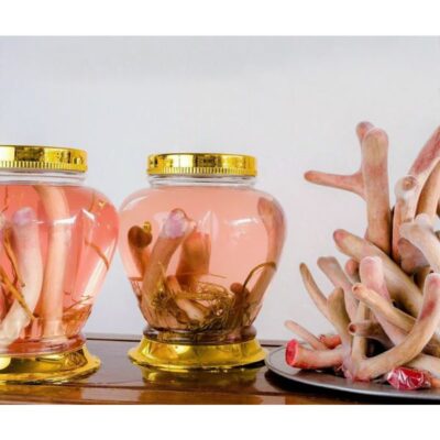 Cách sử dụng rượu nhung hươu hiệu quả