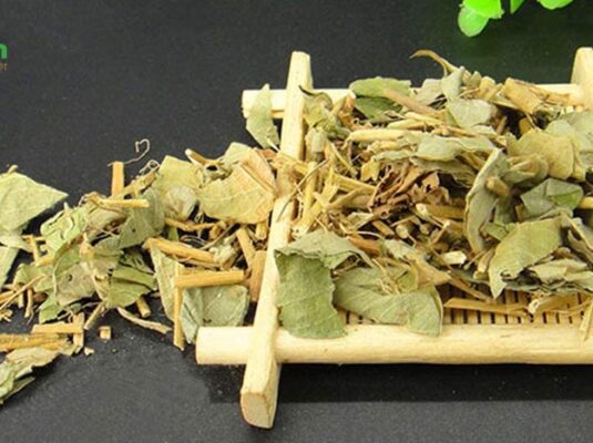 Cách sử dụng Kim tiền thảo chữa sỏi thận