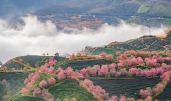 Du lịch sapa mùa nào đẹp nhất?