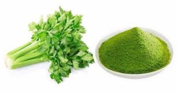 Lưu ý khi sử dụng bột cần tây