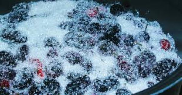 Quả dâu tằm ngâm đường có tác dụng gì?