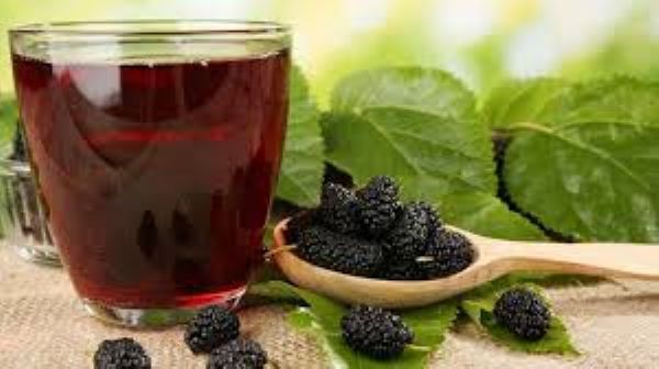 Quả dâu tằm ngâm rượu