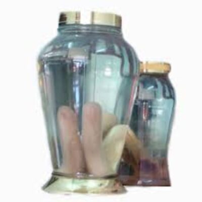 Rượu nhung hươu - bài thuốc quý của đàn ông