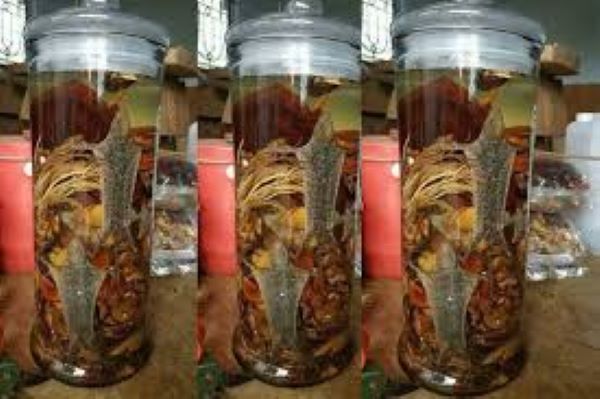 Rượu tắc kè là gì?